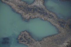 Aerial abstract photograph of Iceland's coral reef