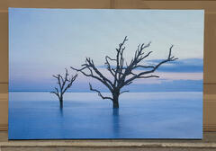 Botany Bay - 16x24 Fine Art Canvas