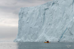 Kayaking amongst the immense icebergs of the Kangia Icefjord is an awe-inspiring and humbling experience
