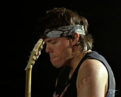 The Gut Face