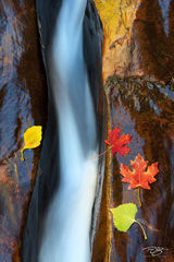 Go with the flow