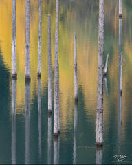 Natural Abstraction