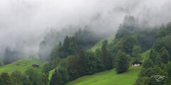 Misty Mountain Hop