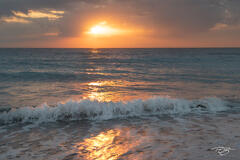 Morning Has Broken