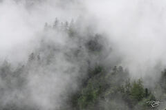 Obscured By Clouds