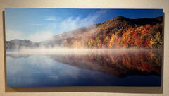 30x60 - Autmn Splendour - Dye Infused RAW Aluminum