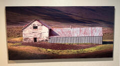 30x60 - In the Spotlight - Dye Infused RAW Aluminum