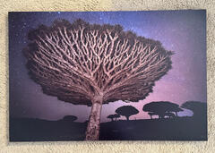 Reach for the Stars - 24x36 Dye Infused RAW Aluminum