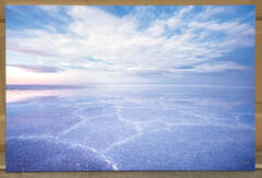 Salt of the Earth - 20x30 Dye Infused RAW Aluminum