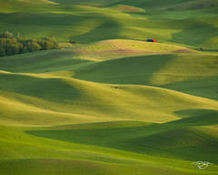 Shadowplay - landscape orientation