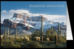 Sonoran Winter greeting card set