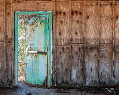 The Back Door