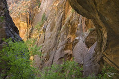 The Walls of the Narrows
