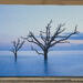 Botany Bay - 16x24 Fine Art Canvas
