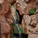 Canyon Oasis