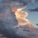 Cotton Candy
