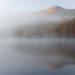 Foggy Morning