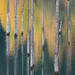 Natural Abstraction