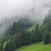 Misty Mountain Hop