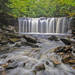 Niagara of Ricketts