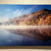 30x60 - Autmn Splendour - Dye Infused RAW Aluminum