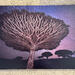 Reach for the Stars - 24x36 Dye Infused RAW Aluminum