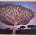 Rise Up - 24x36 Dye Infused RAW Aluminum