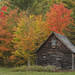 The Cabin in the Woods