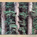Trinity - 24x36 Dye Infused RAW Aluminum