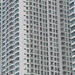 The Urban Beehive