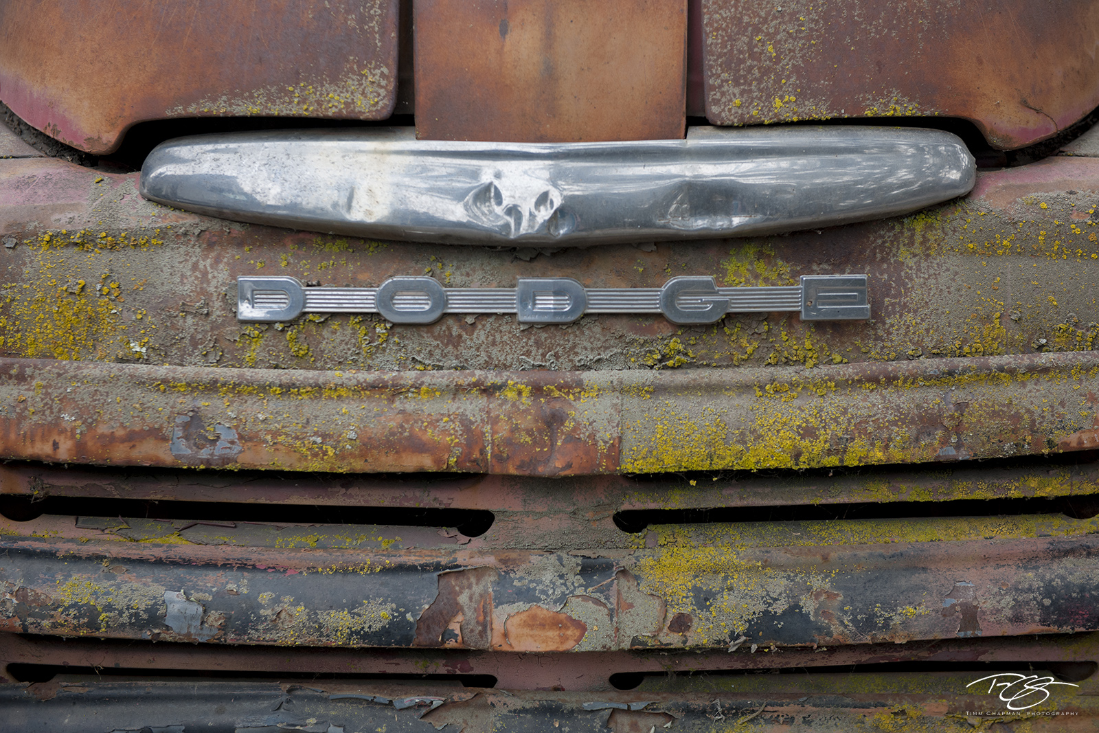 Dodge Patina An old Dodge pickup truck wears the patina of its years