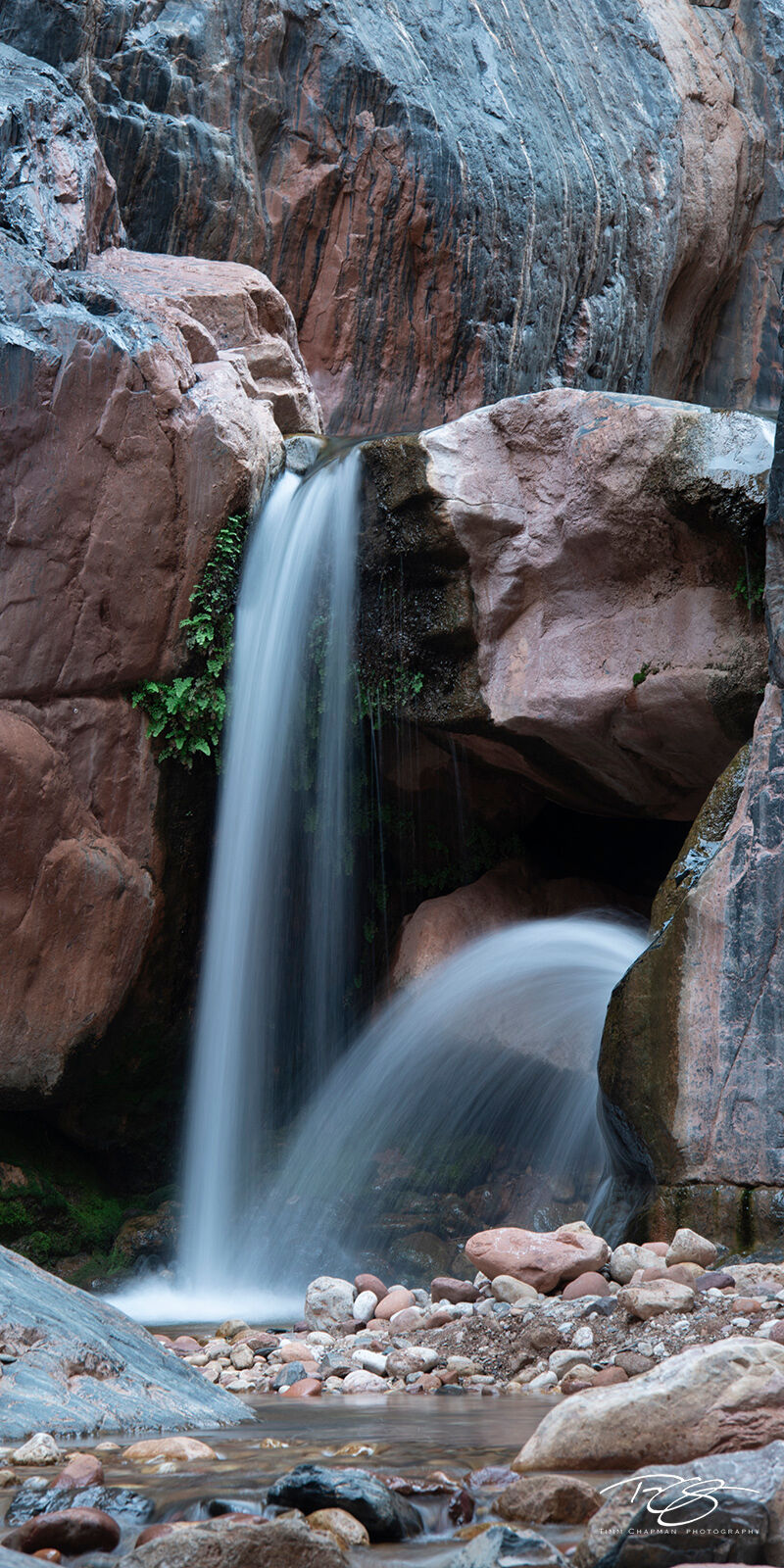 Give Forth The dual waterfalls of Clear Creek. This creek,like many tibutaries of Grand Canyon, provide fresh water to combat the heavy...