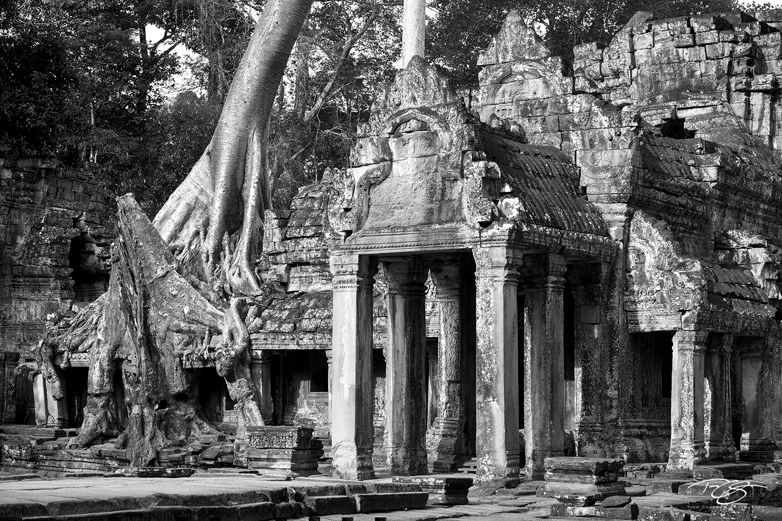 Guardians of the Temples III A centuriies old Spung tree keeps a firm grasp over the Preah Khan temple in Cambodia