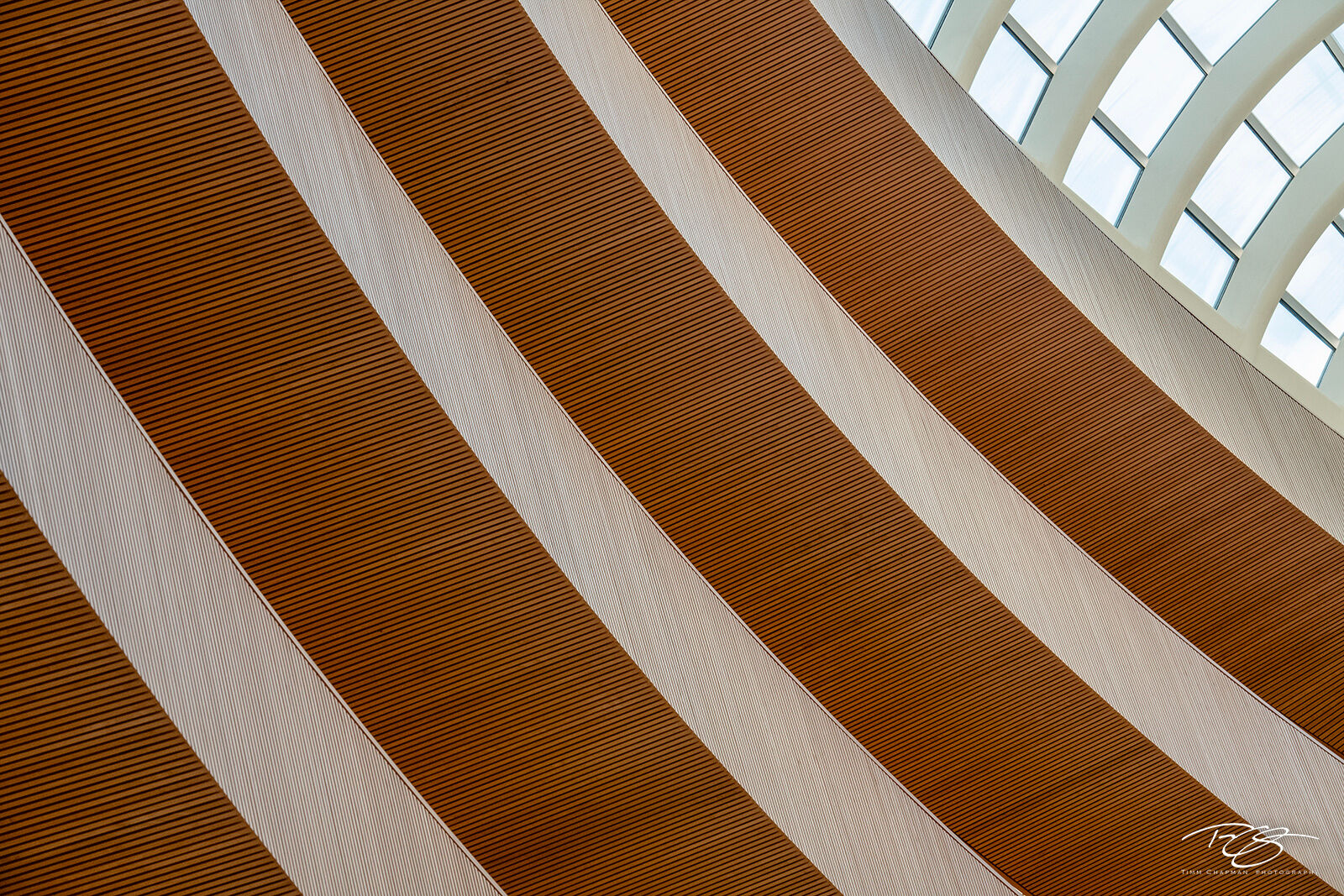 Divine Design Santiago Calatrava's architectural masterpiece: The Faculty of Law Library at the University of Zurich. Light wood reflects the...