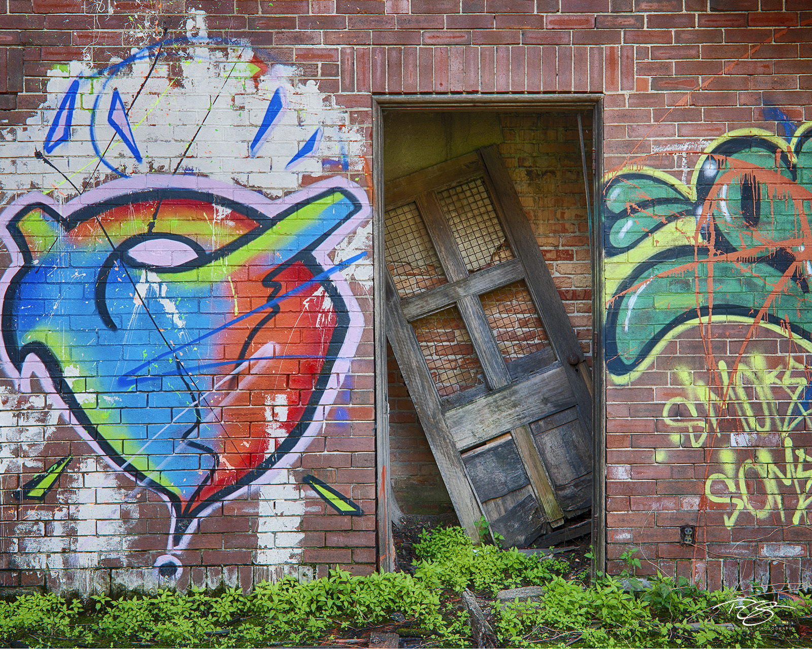 Off it's Hinges An abandoned door lay hidden in a forgotten room in the courtyard of a decaying Cathedral