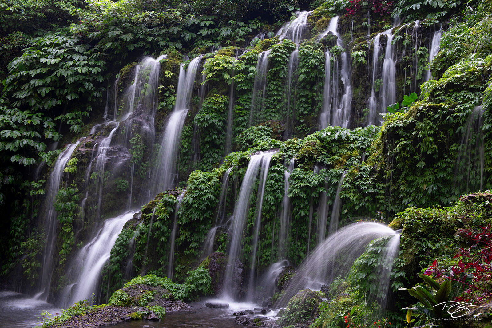 Paradise Found Lush vegetation surrounds the Banyu Wana Amertha Waterfall in Bali, Indonesia