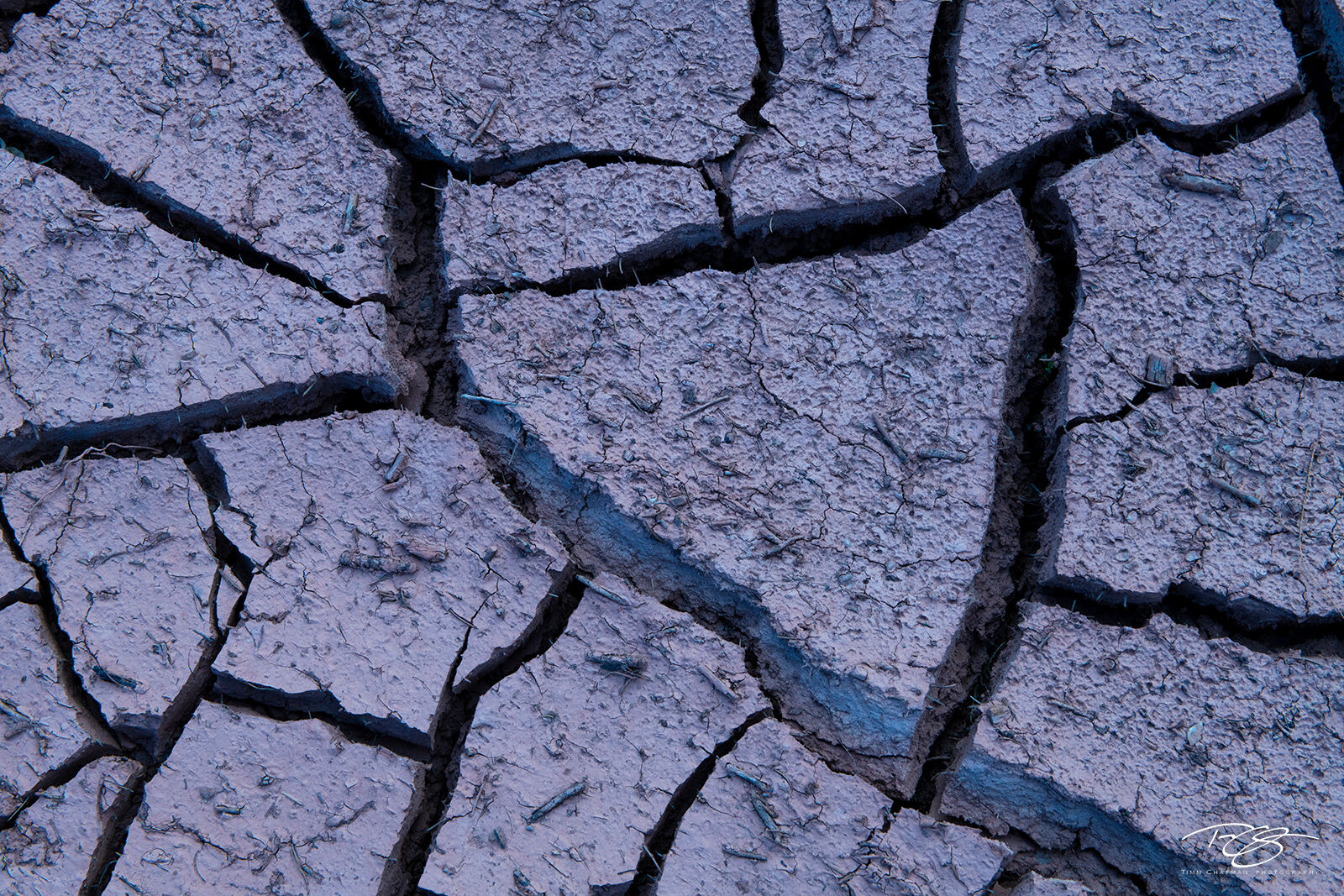 Pieces of the Puzzle Cracked mud at Blue Hour along the banks of the Colorado River provide a wondrous natural geologic puzzle