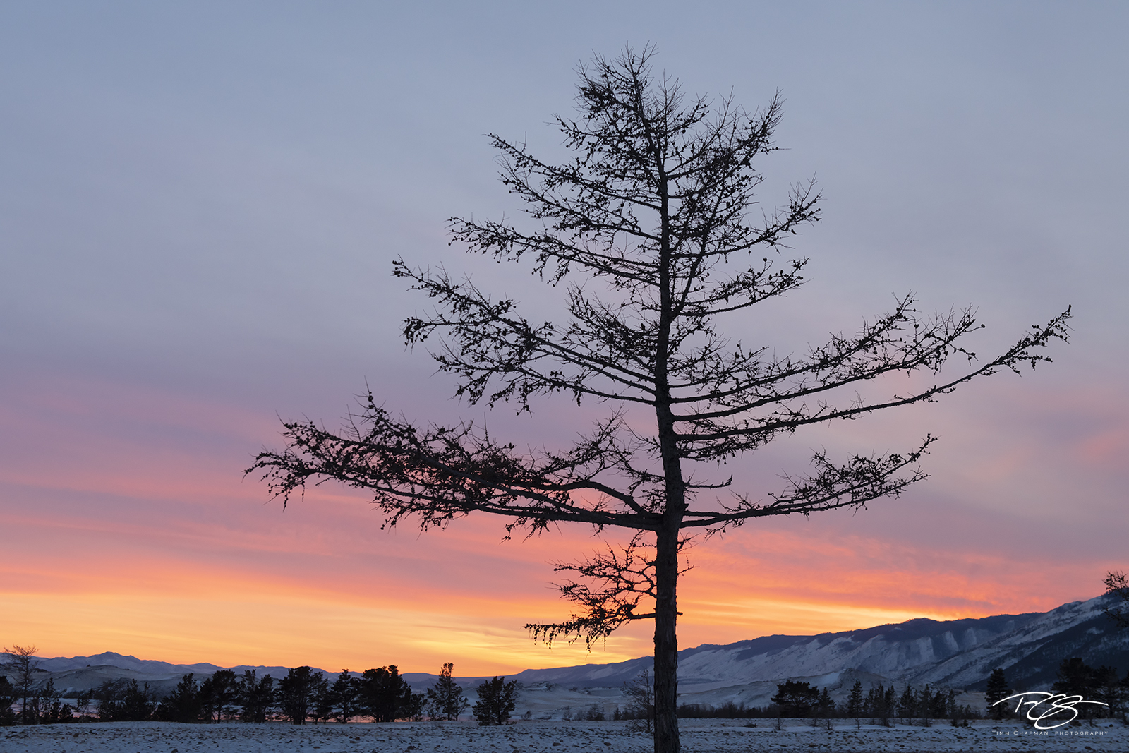 Siberian Sunset The sky is painted in glorious colour over western Siberia