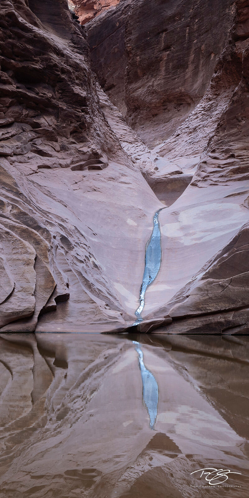 Tears of North Canyon - Portrait orientation A small silvery strip of water slides down the smooth cross-bedded sandstone of North Canyon, a side canyon to Marble Canyon...