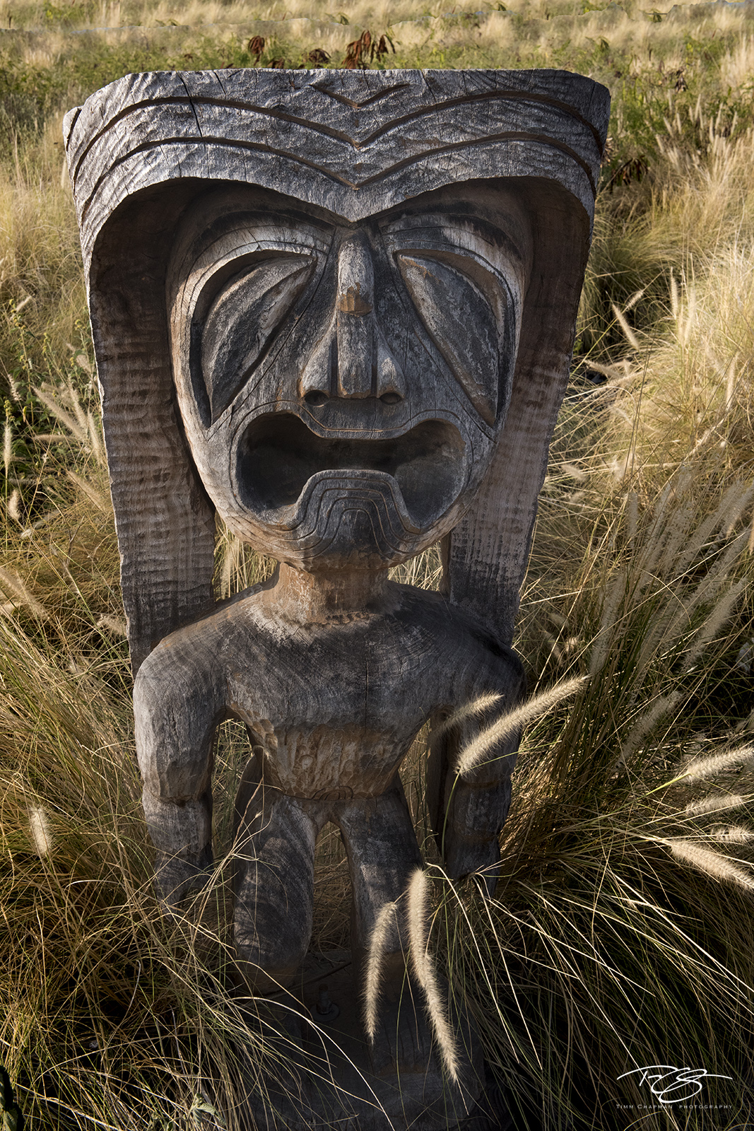 The Despondent Tiki A despondent tiki statue expresses himself in the tall grass near Kailua-Kona