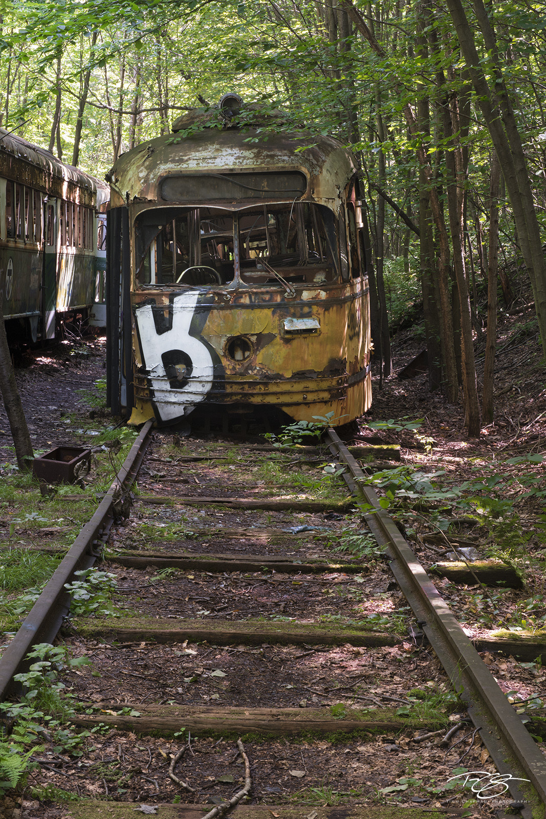 The End of the Line A long retired street car reaches the end of the line in a quiet forest