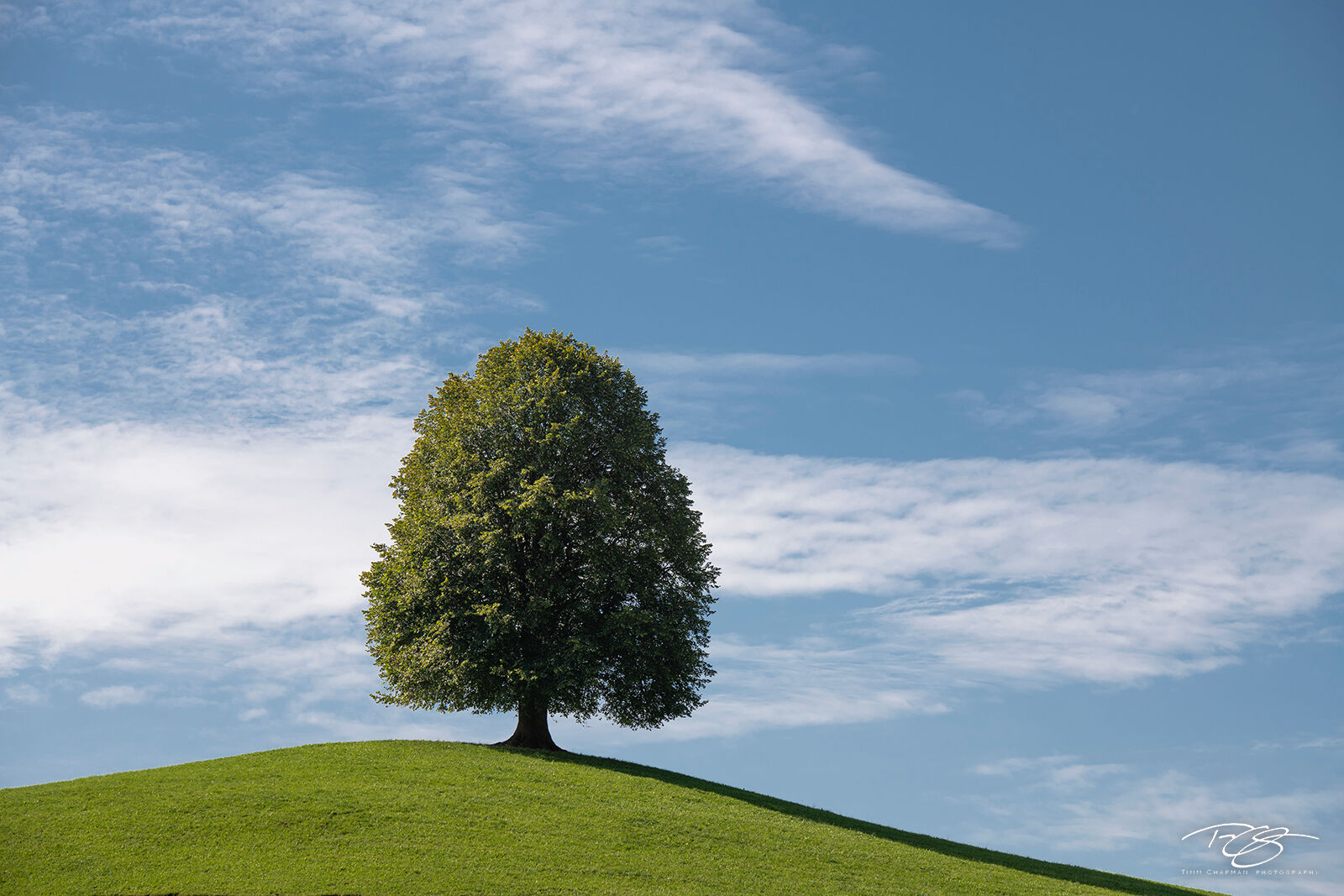 The Loner A lone Linden Tree stands atop a hill in rural Switzerland